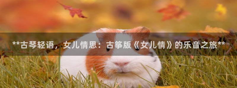 凯发k8娱乐官网入
