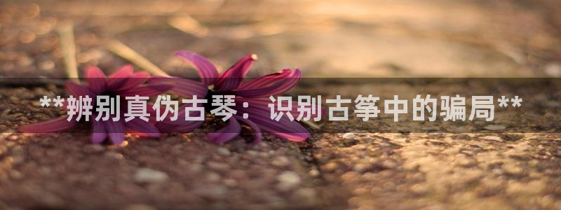 凯发手机官网
