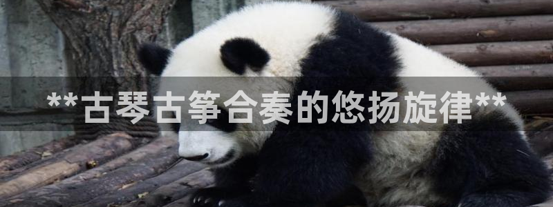 凯发平台轻7O777