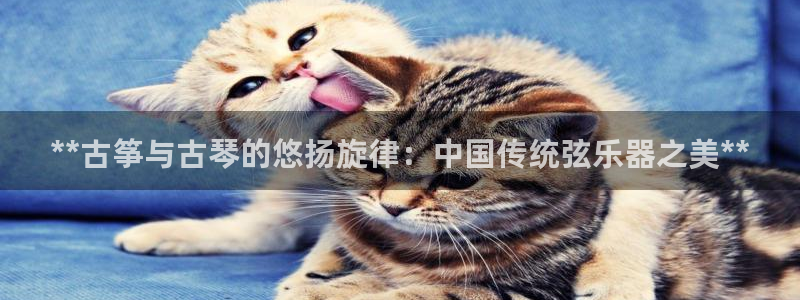 凯发国际是什么
