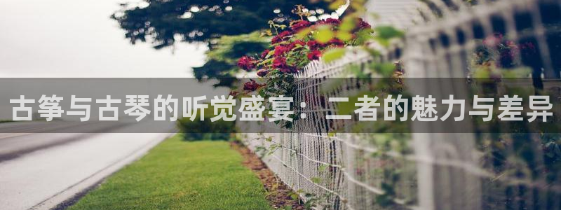 凯发网官网
