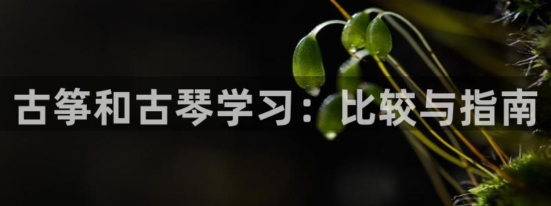 凯发官网下载客户端