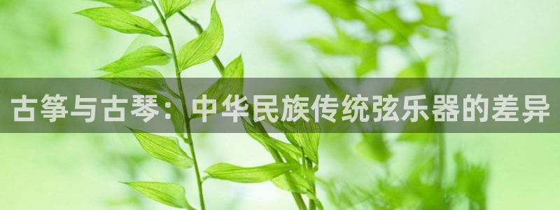 凯发唯一官方网站