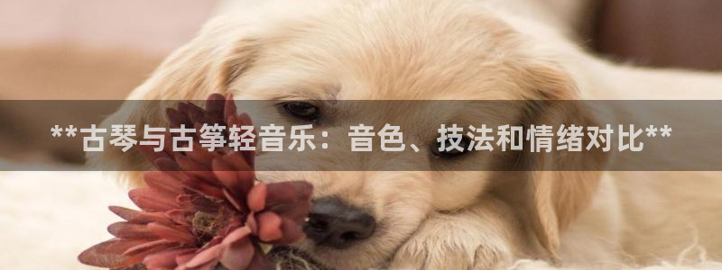 凯发k8娱乐网址多少