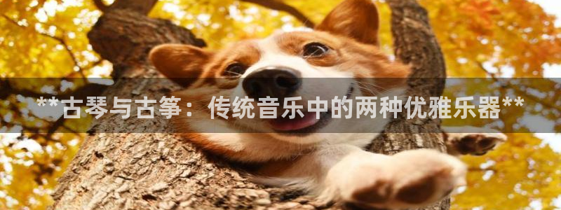 凯发k8网站是多少