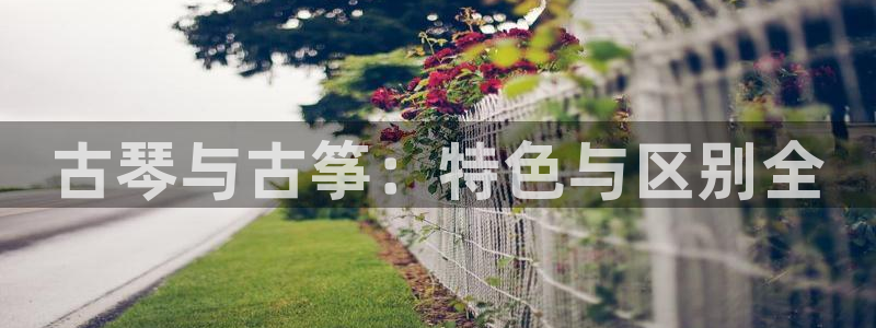 凯发网站是多少