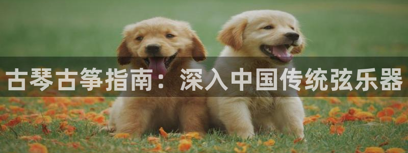 凯发手机唯一