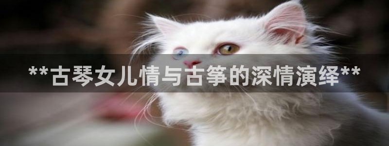 凯发娱乐k8下载