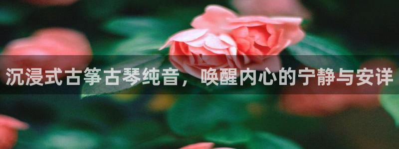 凯发注册平台安卓版下载
