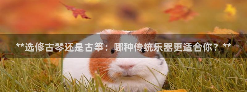 凯发唯一官方网站