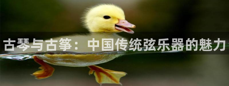 凯发国际亚洲有限公司