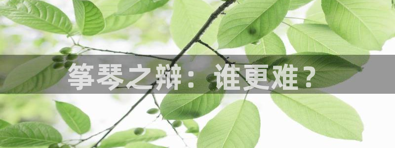 凯发k8官方网娱乐官方真