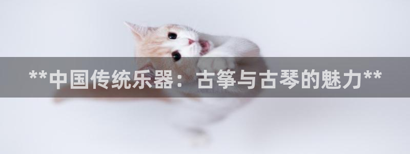 凯发k8旗舰厅手机下载