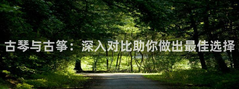 凯发k8娱乐是国内平台?