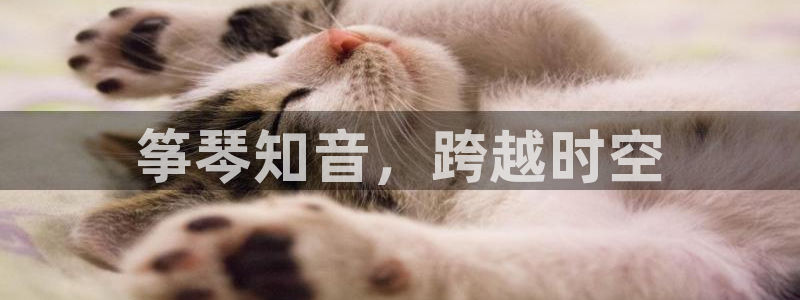 凯发娱网址是什么