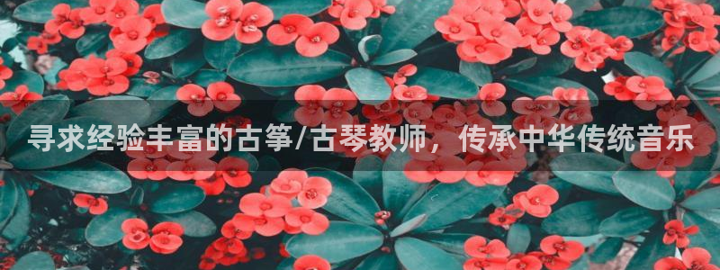 凯发k8娱乐|k808.vip