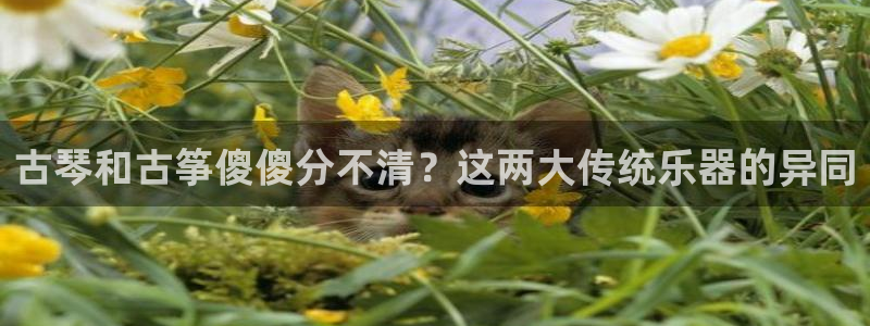 凯发旗舰网站
