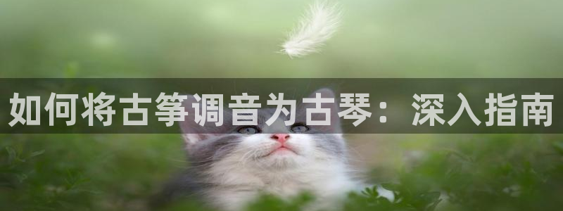 凯发平台敌7O777