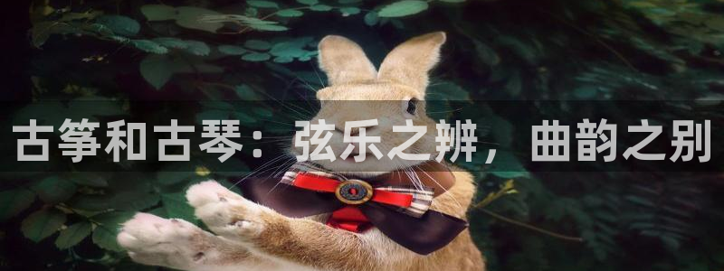 凯发k8娱乐是什么平台