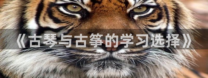 凯发国际官网下载