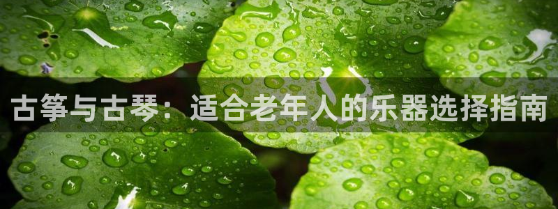凯发平台轻7O777