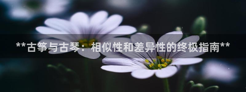 凯发k81111国际真人版