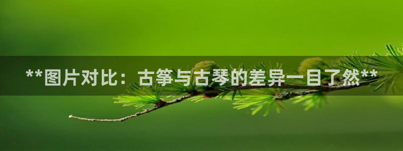 凯发国际是什么