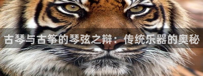 凯发k8国际版官网