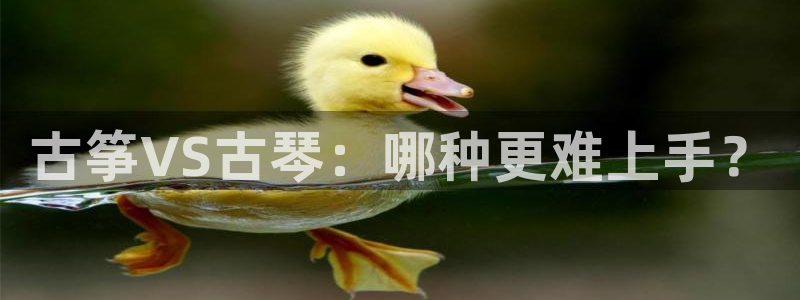 凯发娱乐k8国际：古筝VS古琴：哪种更难上手？