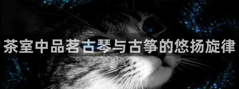 凯发k8国际真人版安全送38元