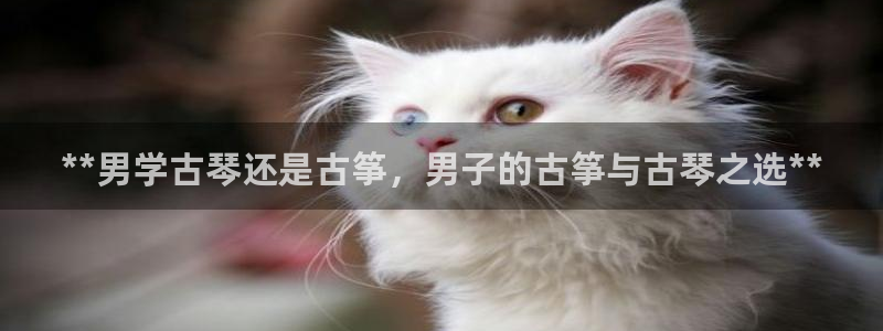 凯发k8娱乐平台网址：**男学古琴还是古筝，男子的古筝与古琴