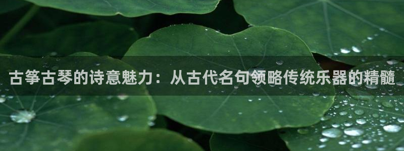 凯发国际亚洲有限公司