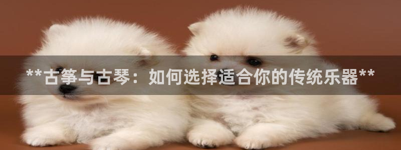 凯发k8国际app