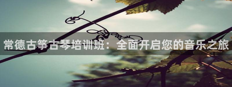 凯发旗舰