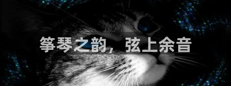 凯发国际官网下载：筝琴之韵，弦上余音
