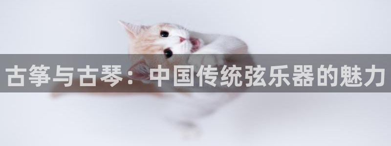 凯发旗舰厅网站：古筝与古琴：中国传统弦乐器的魅力