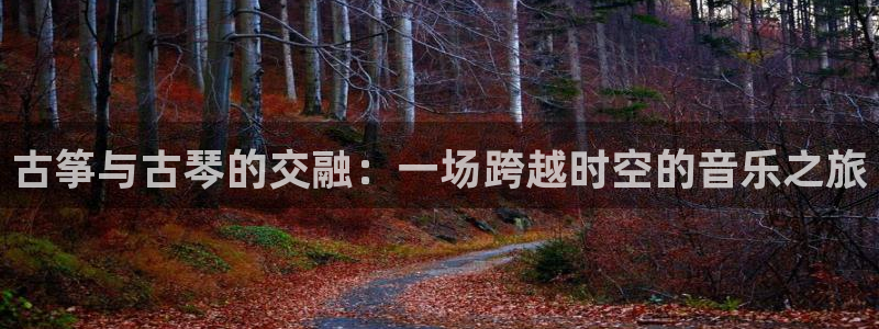 凯发k8国际下载：古筝与古琴的交融：一场跨越时空的音乐之旅