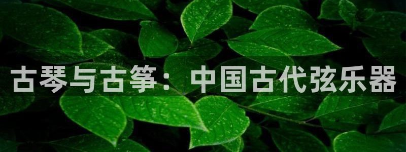 凯发线上官方网站下载网址：古琴与古筝：中国古代弦乐器