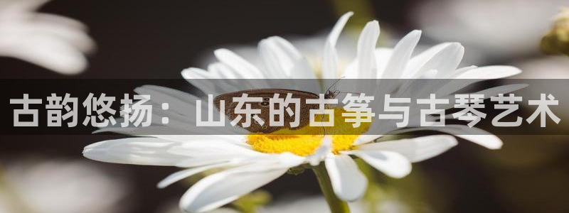 凯发唯一官方网站：古韵悠扬：山东的古筝与古琴艺术