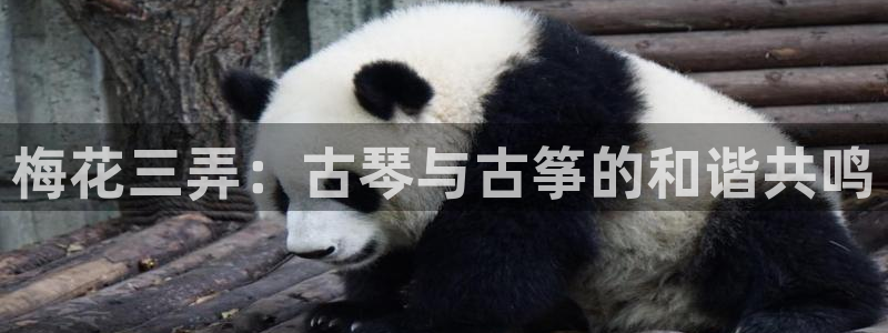 凯发k8娱乐平台