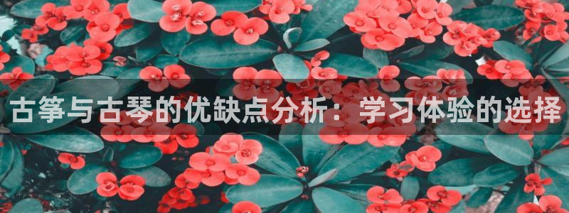凯发官网下载客户端：古筝与古琴的优缺点分析：学习体验的选择