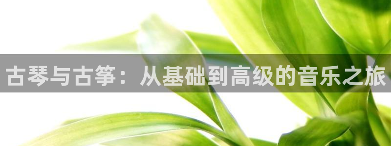 凯发k8登录首页：古琴与古筝：从基础到高级的音乐之旅