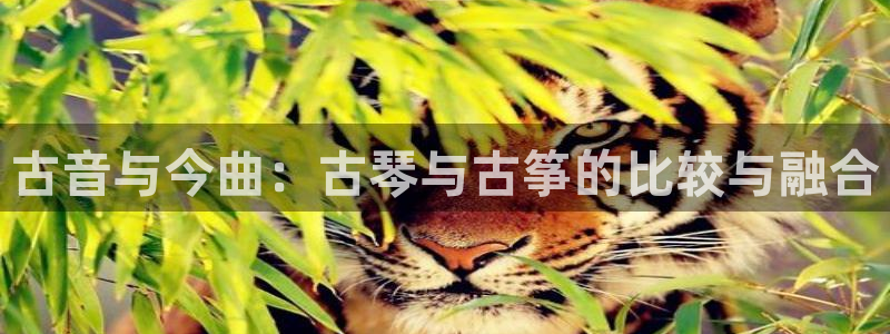 凯发k8娱乐注册登录：古音与今曲：古琴与古筝的比较与融合