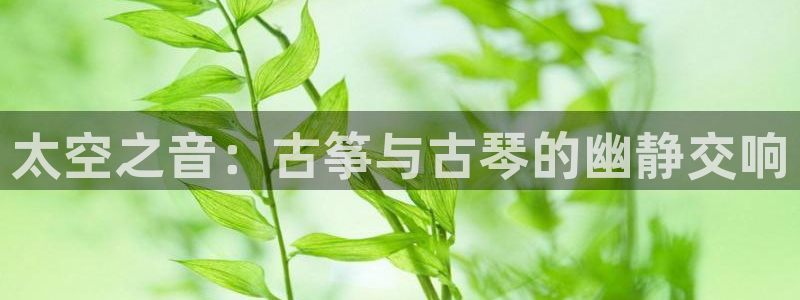 凯发手机官网