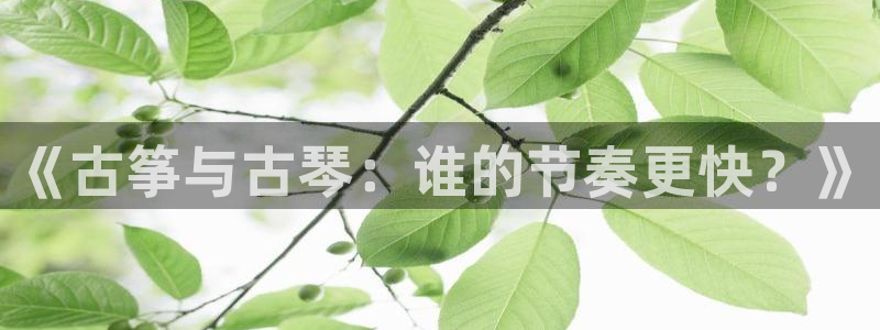 凯发官方网站是多少