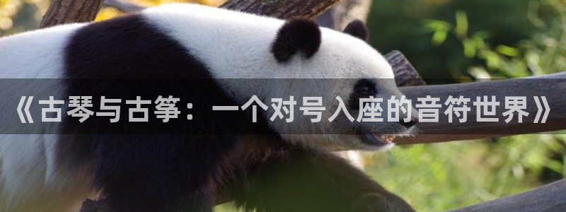 凯发是什么意思：《古琴与古筝：一个对号入座的音符世界》