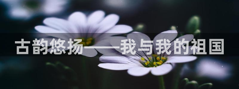 凯发k8娱乐官网最新版本
