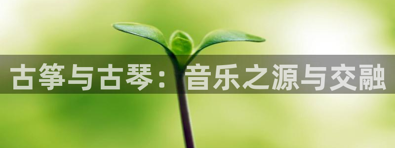 凯发官方网站下载
