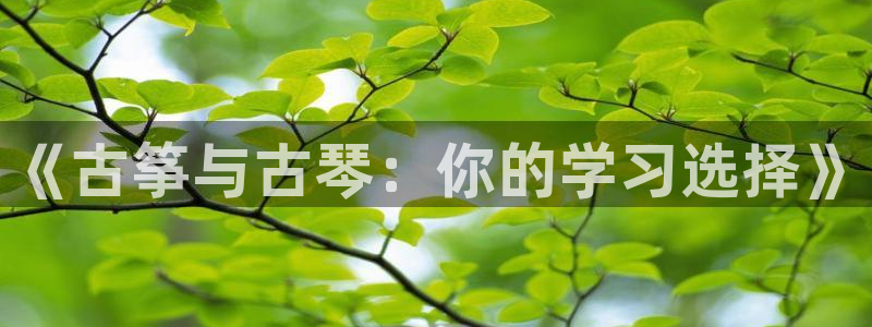 凯发平台风采