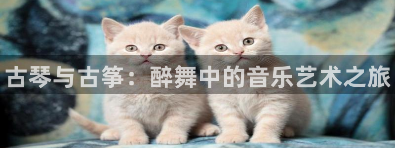 凯发国际网站：古琴与古筝：醉舞中的音乐艺术之旅
